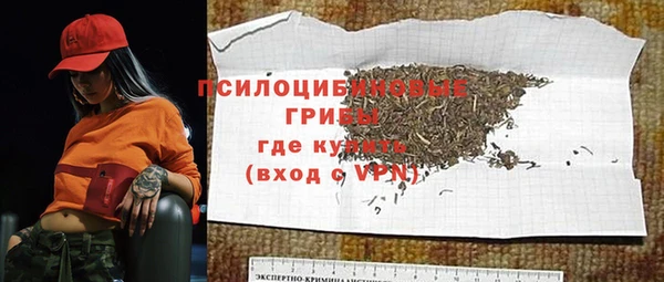 крисы Абдулино