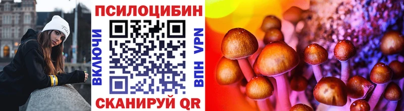 Псилоцибиновые грибы GOLDEN TEACHER  Кизляр 