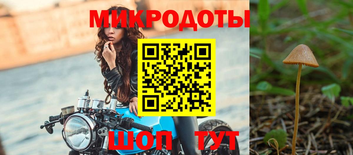 Галлюциногенные грибы Cubensis  Вход с VPN  Кизляр 