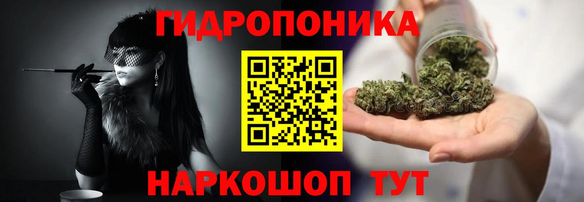 Бошки Шишки White Widow  Конопля конопля  Канабис ГИДРОПОН  Бошки Шишки планчик  Кизляр  Вход с VPN 